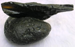 Click image to enlarge