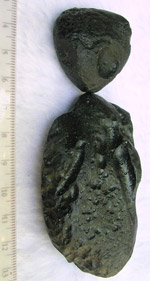 Click image to enlarge
