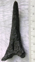 Click image to enlarge