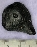 Click image to enlarge